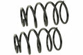 COIL SPRING SET
