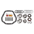 RING AND PINION BEARING KIT