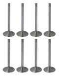 VALVE SET SS BBC