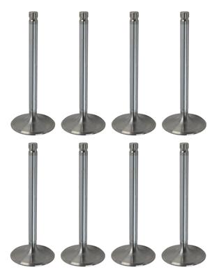 VALVE SET SS BBC