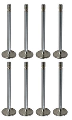 VALVE SET SS