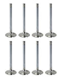 VALVE SET SS OLDS