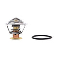 PERFORMANCE THERMOSTAT