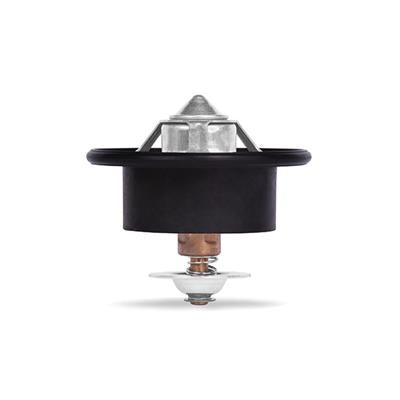 LOW-TEMP THERMOSTAT