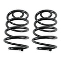 REAR SPRINGS