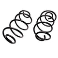 REAR SPRINGS