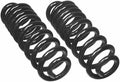 CARGO COIL SPRINGS