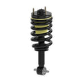 MAGNUM SEVERE SERVICE STRUT
