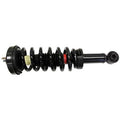 STRUT ASSEMBLY