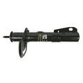 OESPECTRUM PREMIUM STRUT