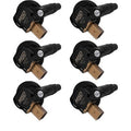 COIL BLACK ECO-BOOST 3.5L 6-PK