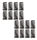 LS6 VALVE SPRING SET
