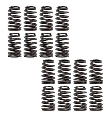 LS6 VALVE SPRING SET