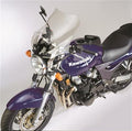 WINDSHIELD F15 LIGHT