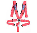 HARNESS RACING 5-POINT PINK