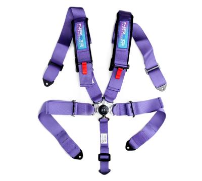 HARNESS 5-POINT CAMLOCK PURPLE