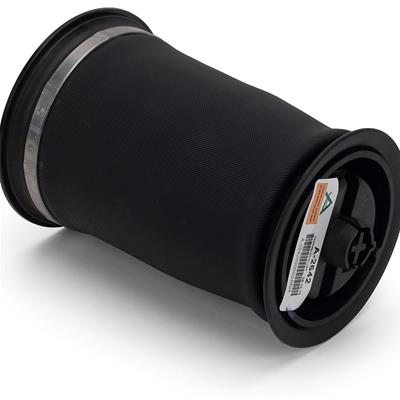AIR SUSPENSION SPRING