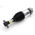 AIR STRUT