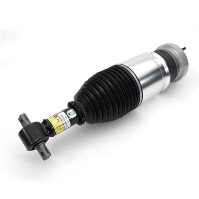 AIR STRUT