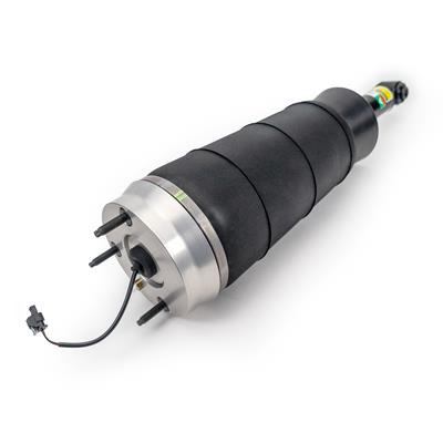 AIR STRUT