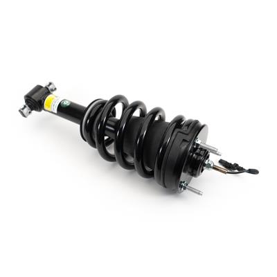 COIL STRUT ASSEMBLY