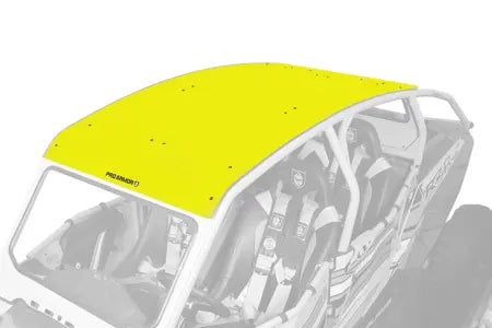 Asylum Aluminum Roof