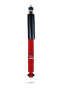 SHOCKS AND STRUTS
