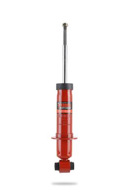 SHOCKS AND STRUTS