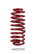 LOWERING SPRINGS  FORD MUSTANG
