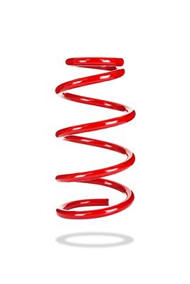 COIL SPRING - REAR