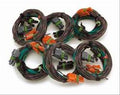 EMISSION WIRE HARNESS