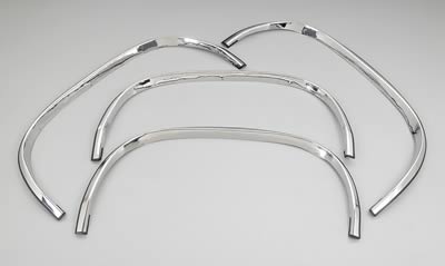SS FENDER TRIM