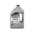 OIL SYN GALLON