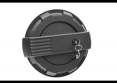 FUEL DOOR