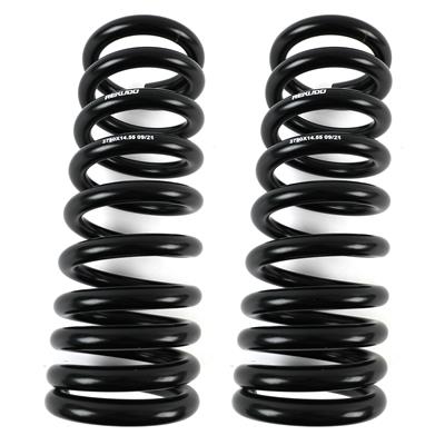 LOWERING SPRINGS