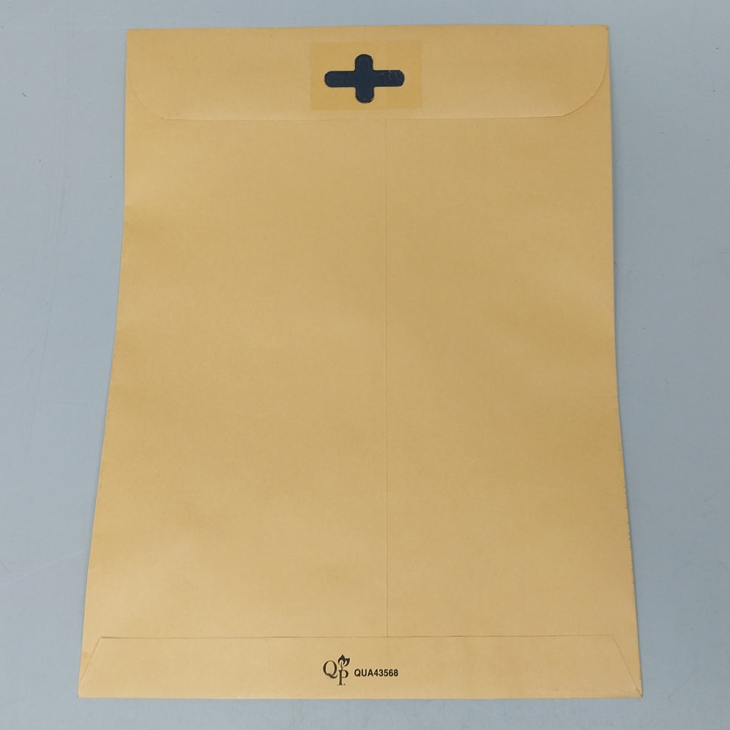 QUALITY PARK 100 PK Envelopes 12"x9"x3" Brown