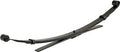 LEAF SPRING