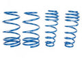 SPRING KIT 2010+ MUSTANG LOWER