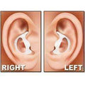 Rubber Ear Mold Sample Kit - Left Ear