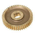 X WORM GEAR