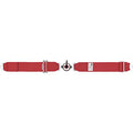 CAMLOCK LAP BELT 62   WRAP AR