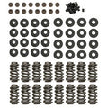 LS VALVE SPRING KIT DUAL 1.300