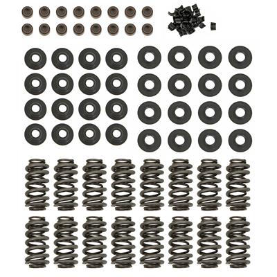 LS VALVE SPRING KIT DUAL 1.300
