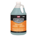 RUST REMOVER 1 GALLON