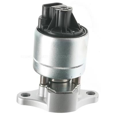 EM- STANDARD EGR VALVE