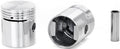 SILVOLITE PISTON - 3.6L/3.8L C