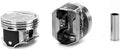 PISTON SET WITH RINGS