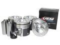 PISTON AND RING SET
