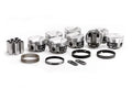 PISTON SET WITH RINGS