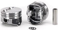 PISTON SET OF 8